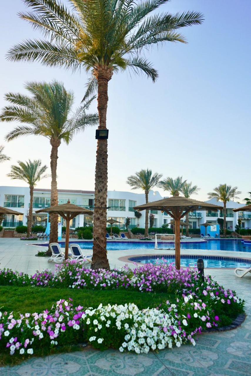 Panorama Naama Heights Otel Şarm El-Şeyh Dış mekan fotoğraf